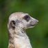 GeogJoe_UK için avatar