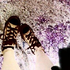 PurpleCami için avatar