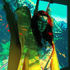 Avatar for ether01