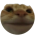 Avatar de Leedrus