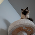 Avatar für awwme