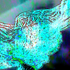 notsp_ngg 的头像