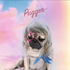 Avatar di pug_cardigan