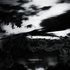 Avatar for xxcvbn