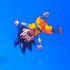 Avatar for johntony69