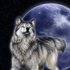 Avatar de Silver_Wolf-