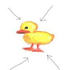 Avatar di gertietheduck