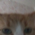 Avatar for nennoni