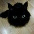 Avatar for Cheruby-