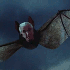 Avatar for lisztomania93