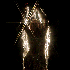 Avatar for beyslux
