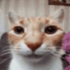 Avatar for tuxzuh