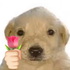 Avatar for noeysod