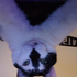Avatar for froyogooo