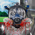 trainlocks 的头像