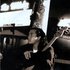 Chi Cheng 的头像