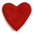 Avatar di silk_hearts