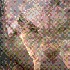 Avatar for Cababacab