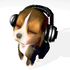 Avatar for drovit82