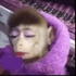 Avatar de MBDNZ