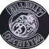 Avatar de Hillbilly Orchestra