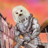 Avatar for Ponchope