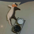 Avatar for fuckjaquare