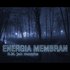 Energia Membran 的头像