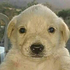 Avatar for lastmju