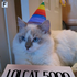 Avatar for LOLCAT5000