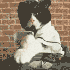 Аватар для OnizukaSam
