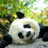 hahahaha_cc 的头像