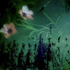 Avatar for mmelliam