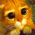 Avatar de photolab213