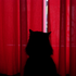Avatar de little_miss_s