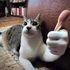 Avatar for luizxqc
