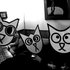 Avatar for PUISSANCE CHATON