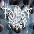 Forest of Frogs 的头像