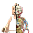 Avatar de AudreyTauTou