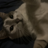 bloo_4 için avatar
