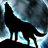 Avatar di darkbluewolf