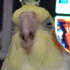 Avatar for xXJawsaXx