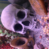 Avatar for erikolson94