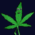 Avatar for kawaiicalamari