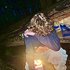 Avatar de forestwlkr
