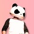 Avatar de The White Panda