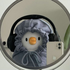 Avatar for raee19