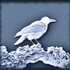 Avatar für Rabenland01