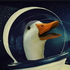 Avatar for OrbitingDuck