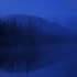 Avatar for Flexon4you